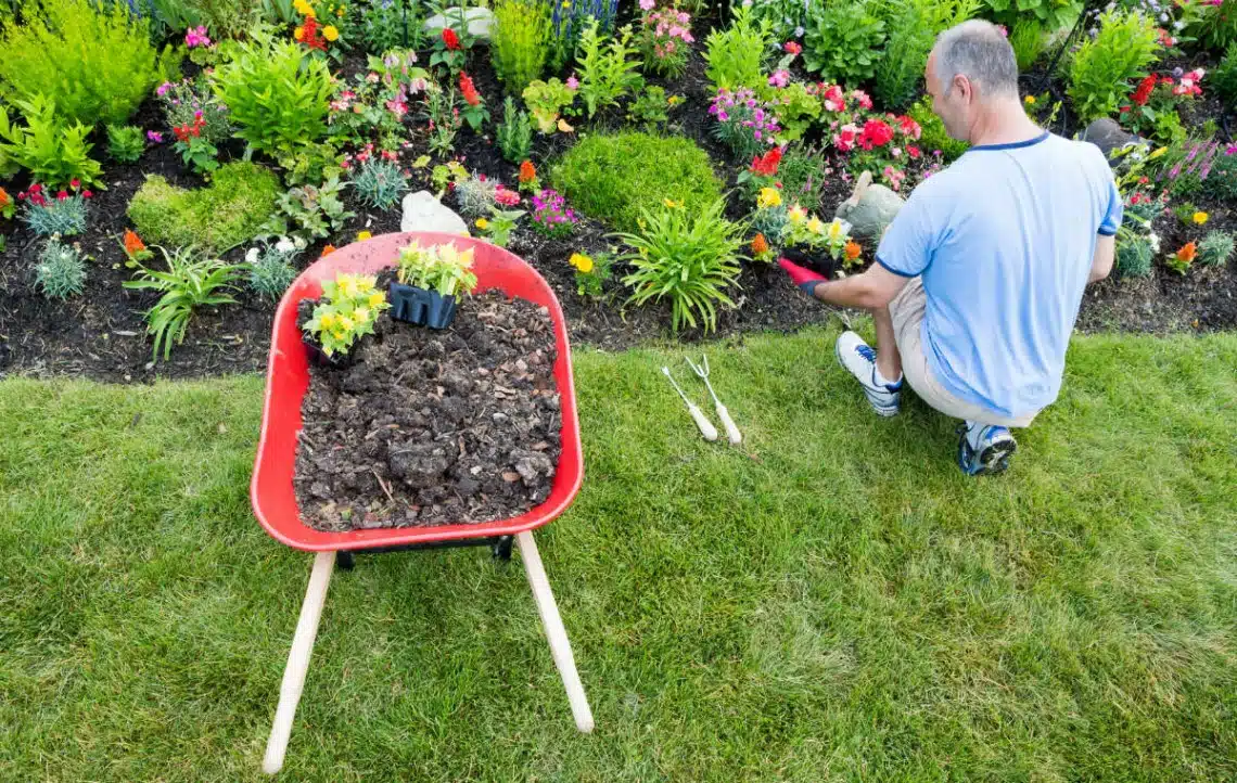 4 raisons de faire appel à un jardinier paysagiste